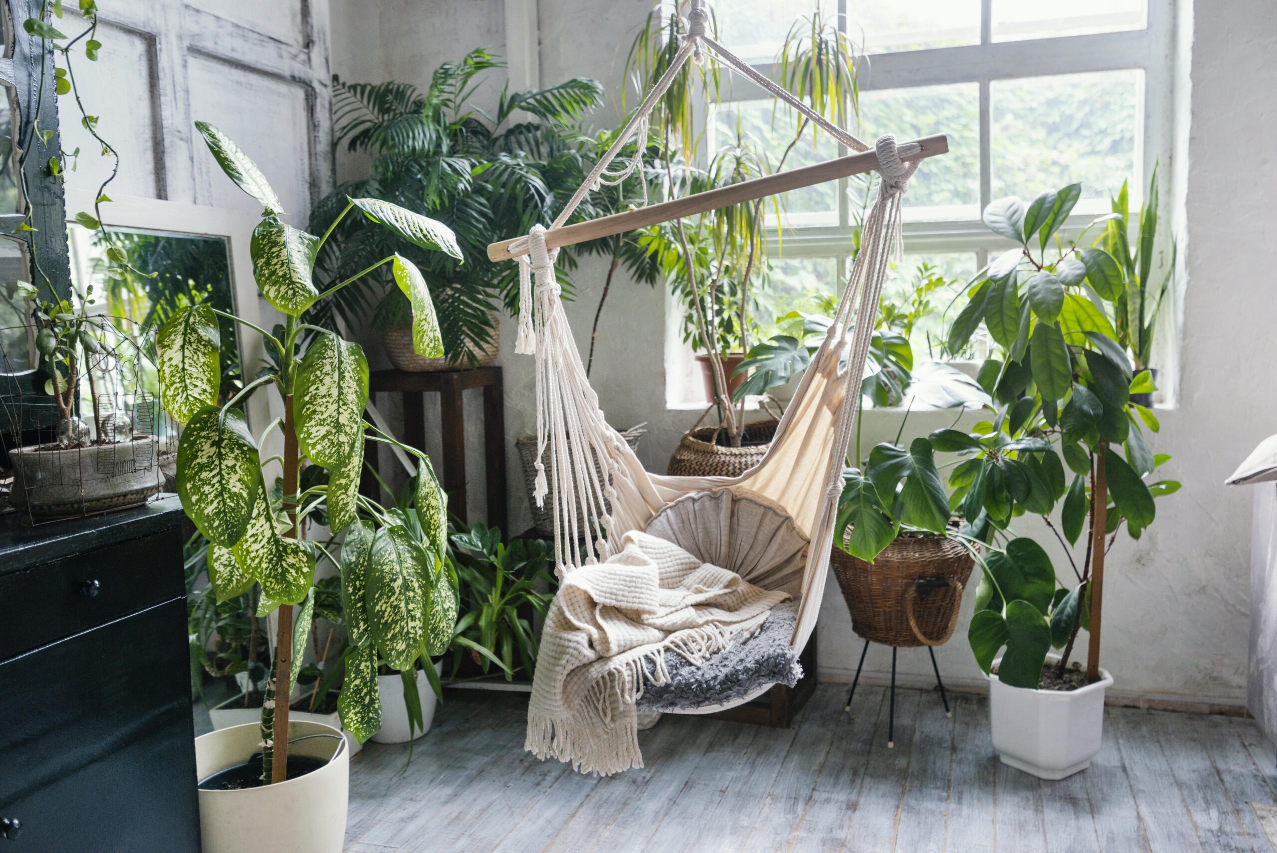 The Complete Guide to Biophilic Design: Nature-Inspired Spaces That ...